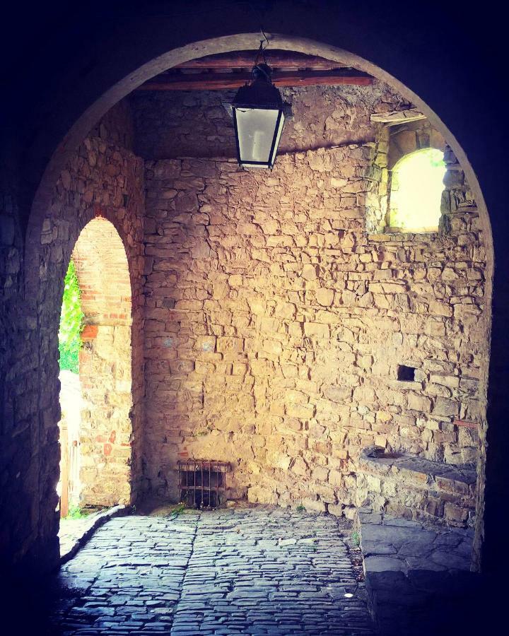 Il Papavero - Montefioralle Apartment Greve in Chianti Dış mekan fotoğraf